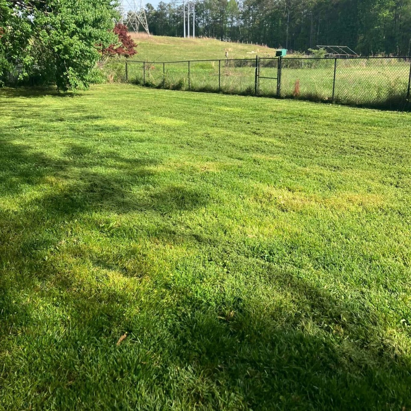 Freshly mowed yard in Douglasville, GA by Perry Land Solutions
